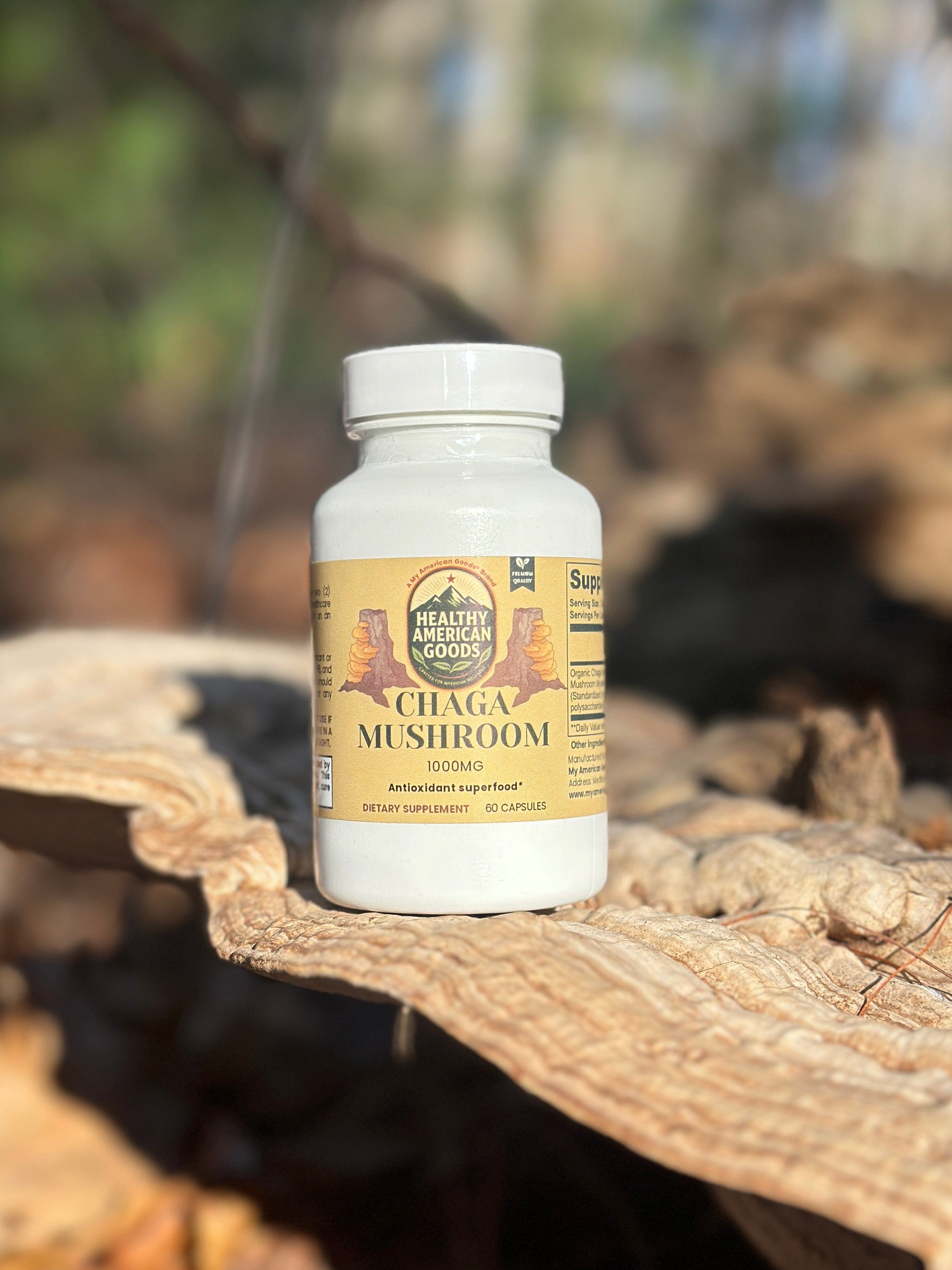 Chaga Mushroom